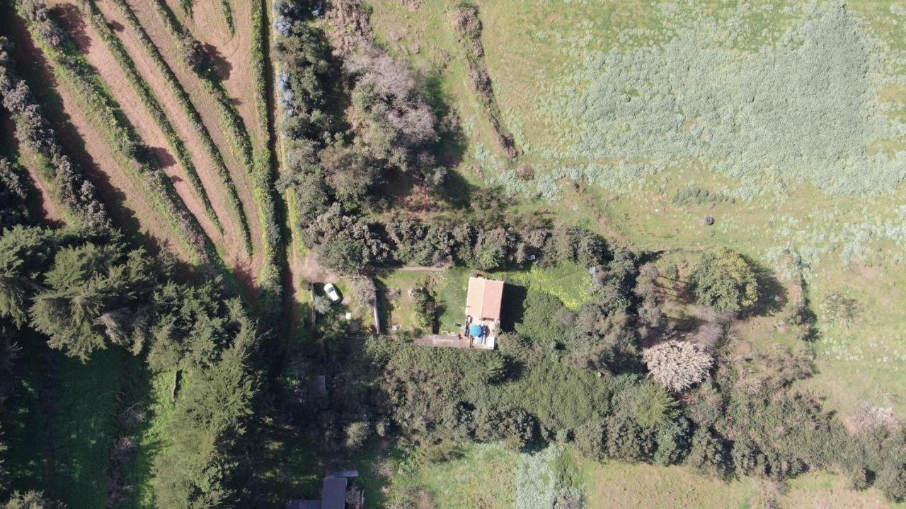 La Casita De La Esperanza Villa La Esperanza  Eksteriør bilde